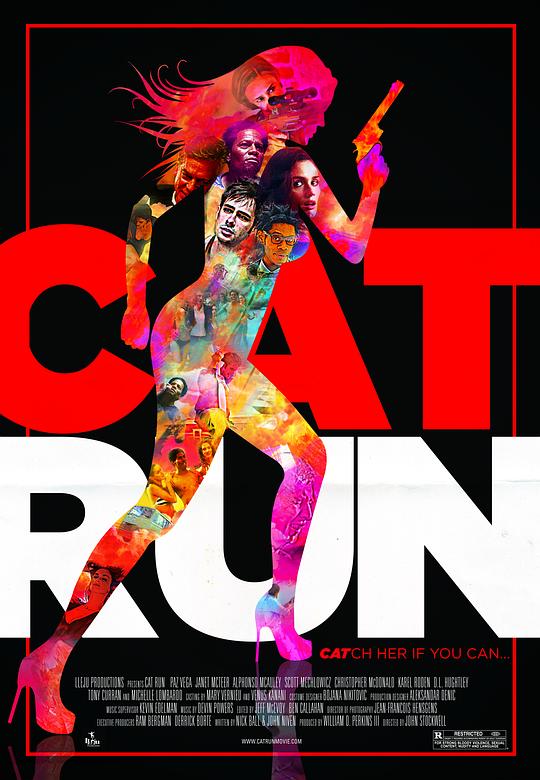 性感女特工 Cat Run (2011) 1080p 原盘Remux 中文字幕 【23.46GB】已刮削