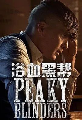 浴血黑帮 6季全 1080P 中字内嵌字幕