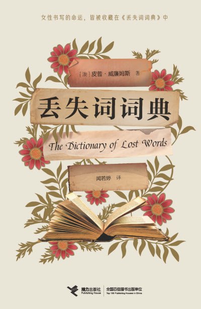 《丢失词词典》（epub）