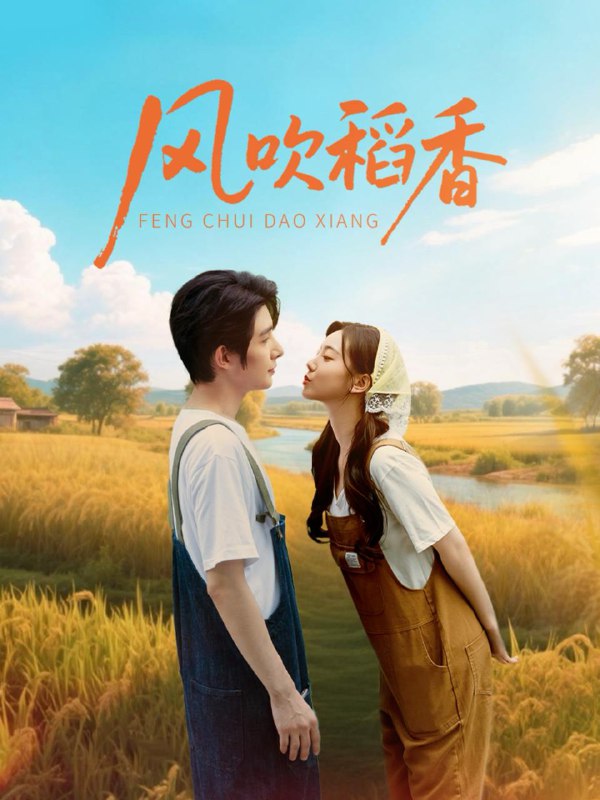 风吹稻香（80集）朱一未＆白昕怡  /最新 短剧