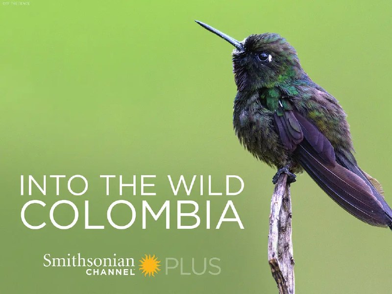 走进野外哥伦比亚 Into the Wild Colombia (2018)