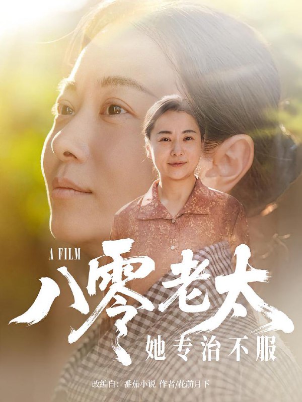 八零老太她专治不服(100集)沈頔卿&李晓 /最新 短剧