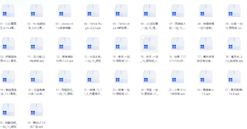 破解软件20251125