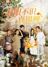 有眼不识真锦鲤（35集）刘凯&尹玲