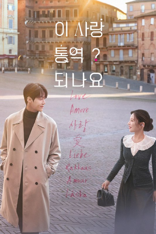 爱情怎么翻译？ 이 사랑 통역 되나요? (2026) [4K-HDR] [中韩英三语] [内封多国字幕] [全12集]
