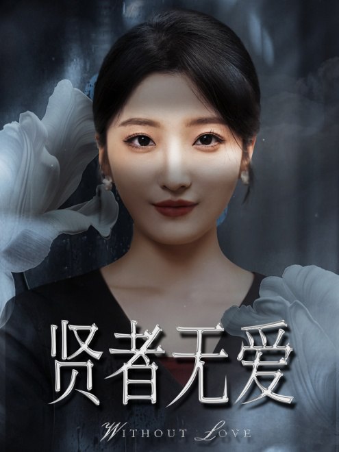 贤者无爱(42集)【短剧】