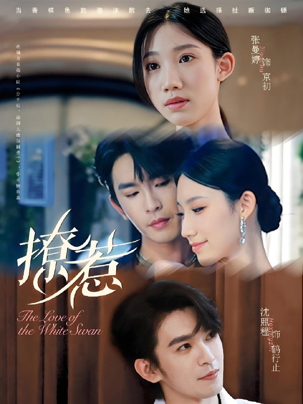 撩惹 (80集) 张曼婷&沈照程 | 短剧