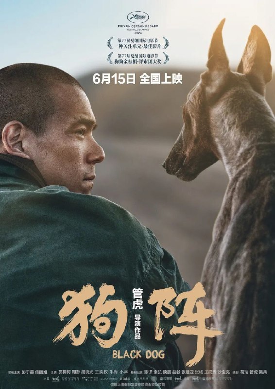 狗阵 (2024) 4K 高码