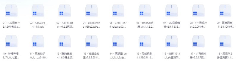 破解软件20251129