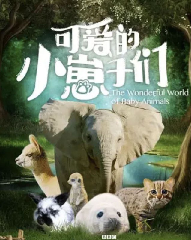 可爱的小崽子们 (2019) 1080P 全集 中英硬字幕