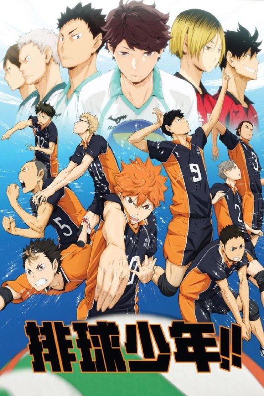 排球少年!! Haikyu!! (2014) 1080p WEB-DL 国日双语 中文字幕 H264 AAC 2.0