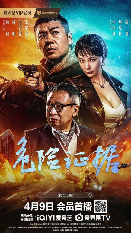 危险证据 (2024)