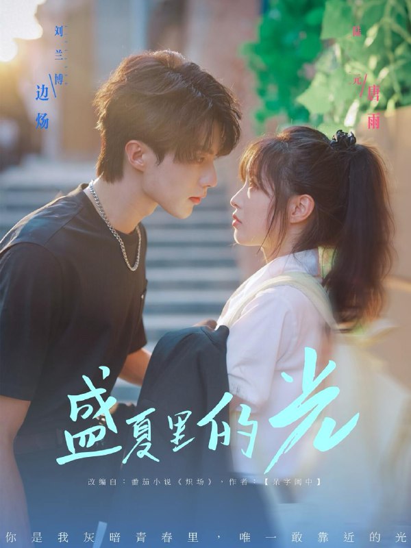 盛夏里的光(69集)刘兰博&陆元 /最新 短剧