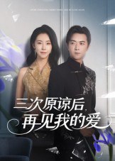 三次原谅后再见我的爱（80集）袁宁|短剧