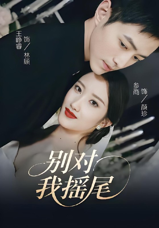 别对我摇尾 (59集) 王峥睿&参商 | 短剧