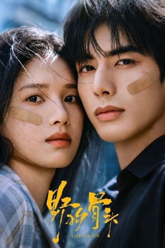野狗骨头(2026)【更25集】【4K.高码率】【内嵌简中】【宋威龙/张婧仪】
