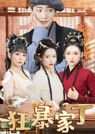 狂暴家丁(90集)【短剧】