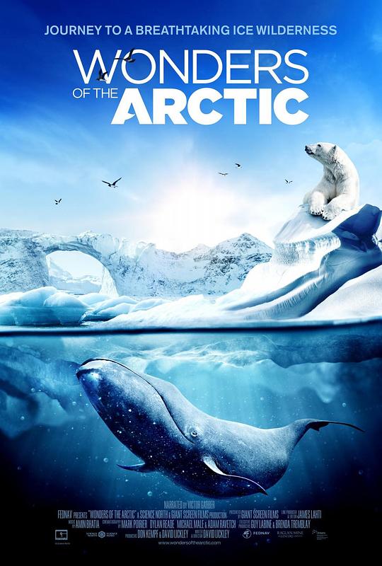 北极奇观 Wonders of the Arctic (2014) 4K/2160p 原盘Remux 中文字幕 【18.27GB】已刮削