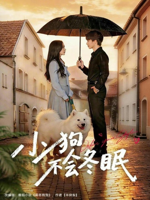 小狗不会冬眠 (70集) 张皓文&乔槿 | 短剧