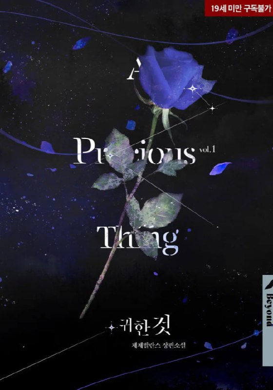 【韩小说】《珍贵的东西》（汉化版）