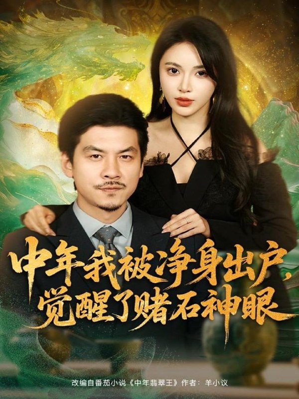 中年我被净身出户，觉醒了赌石神眼（80集）柯珂（柯以）＆王辉