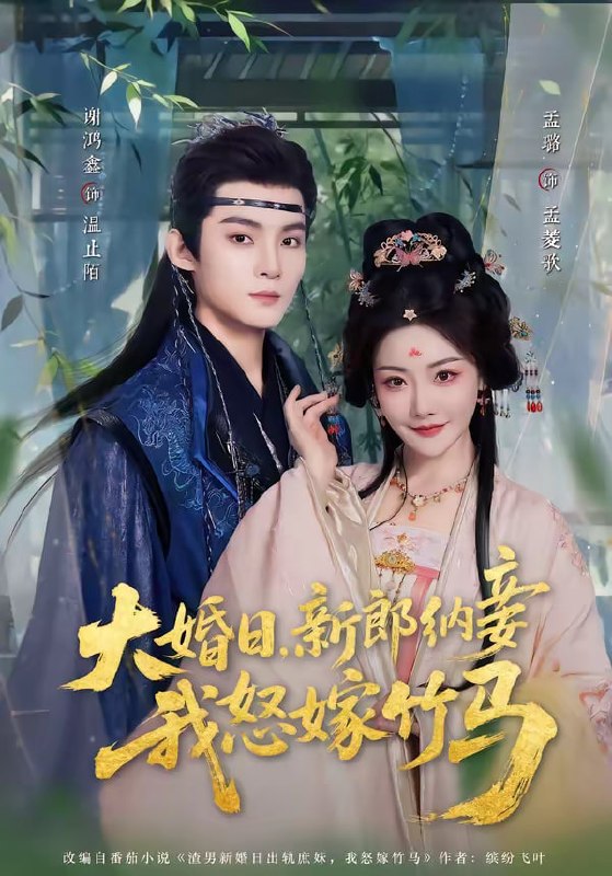 大婚日，新郎纳妾我怒嫁竹马（80集）谢鸿鑫＆孟璐|短剧