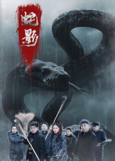 蛇影（25集）刘灵&闫一英|短剧