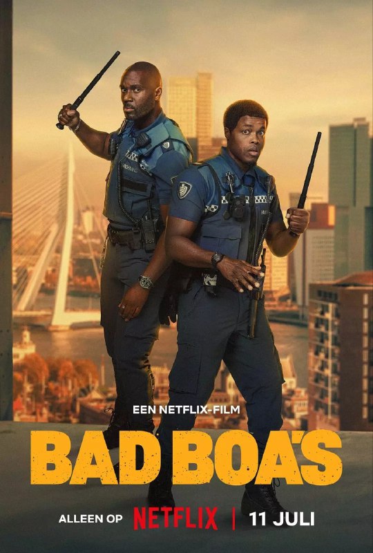 凹凸双雄 Bad Boa's (2025)【4K.HDR.DV】【内封简繁】【悬疑】【犯罪】