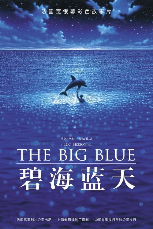 碧海蓝天 (1988) 1080P 内嵌简繁字幕