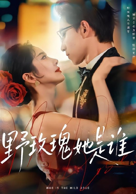 野玫瑰她是谁（84集）李叙洲＆王小橙|短剧