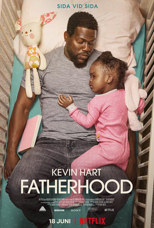 父亲的身份 Fatherhood (2021) 1080p 原盘Remux 中文字幕 【27.34GB】已刮削