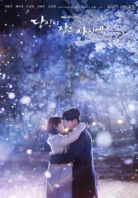 当你沉睡时 당신이 잠든 사이에 (2017) 【16集全】【1080p.WEBDL】【内封简繁】【李钟硕 / 裴秀智  】【爱情 / 奇幻】