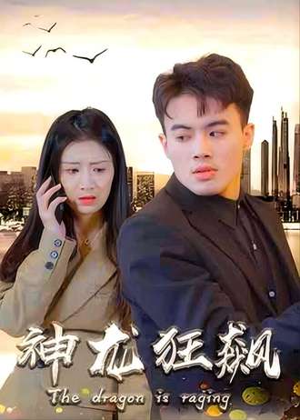 神龙狂飙(100集) [赘婿]【短剧】