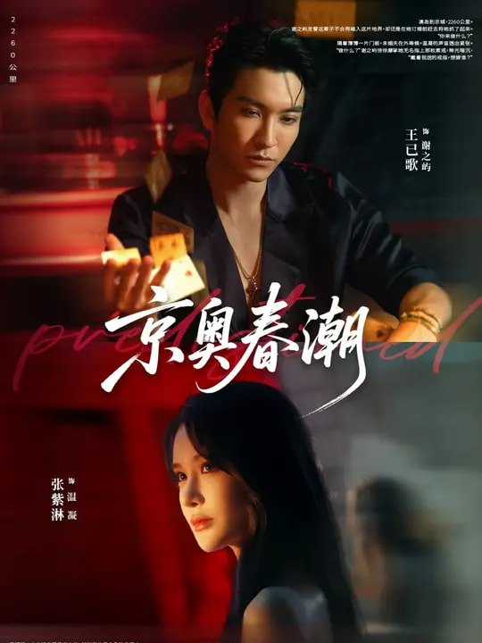 京奥春潮（72集）王已歌&张紫淋|短剧