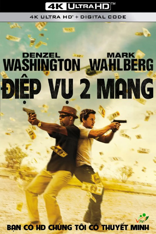 双龙出手 2 Guns (2013)