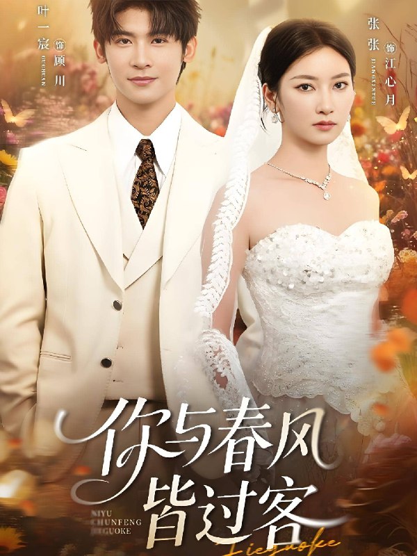 你与春风皆过客 (66集) 叶一宸&张张 (张玉娇) | 短剧