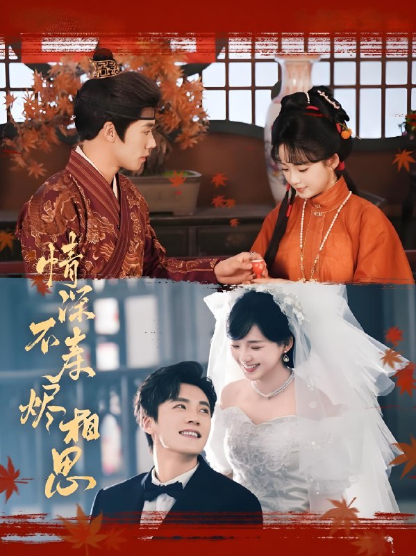 情深不寿烬相思 (60集) 蔡欣洋&莉莉崽 | 短剧