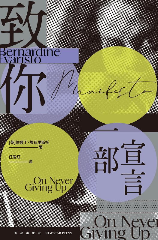 致你一部宣言 [小说文学] [电子书]