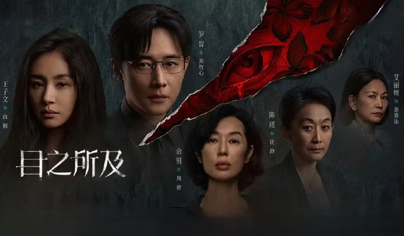 目之所及 (2025) 更至04集 [4K][悬疑][罗晋 王子文 余男 陈瑾]
