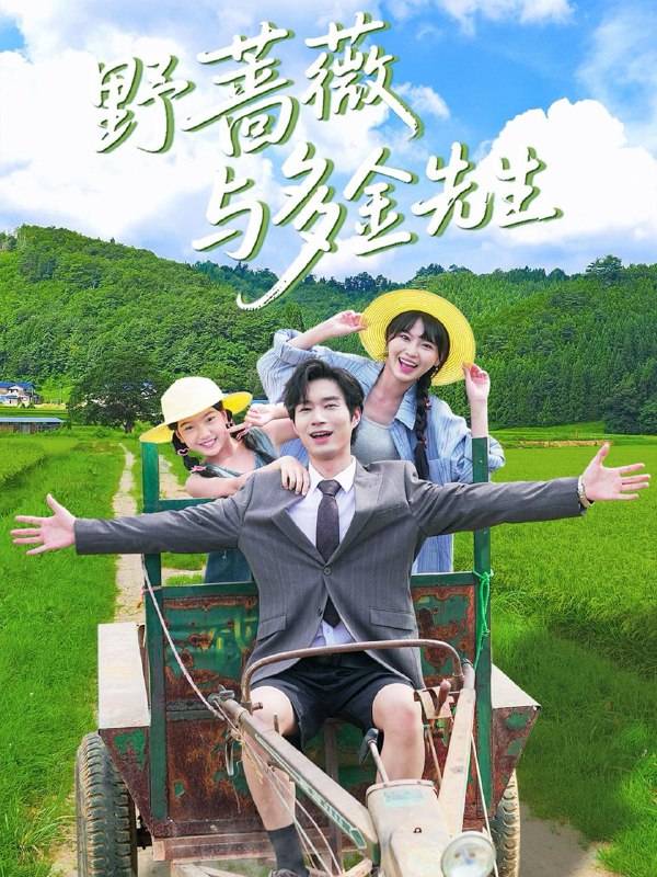 野蔷薇与多金先生（63集）余佳学＆胡雪艺  /最新 短剧