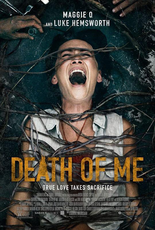 本人之死 The Death of Me (2020) 1080p 原盘Remux 中文字幕 【15.57GB】已刮削
