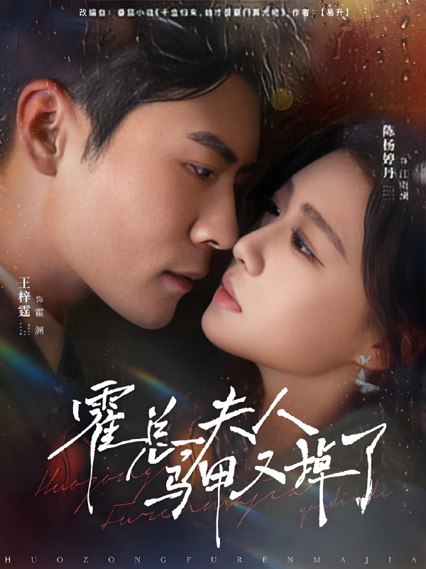 霍总夫人马甲又掉了 (80集) 王梓霆&陈杨婷丹 | 短剧