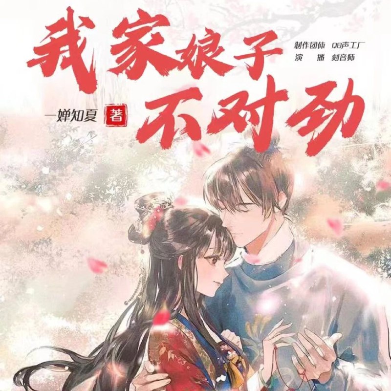我家娘子不对劲 鲲鹏剧社 320k高音质 1394集全 无敌赘婿 多播 我家娘子，不对劲 纯净无广