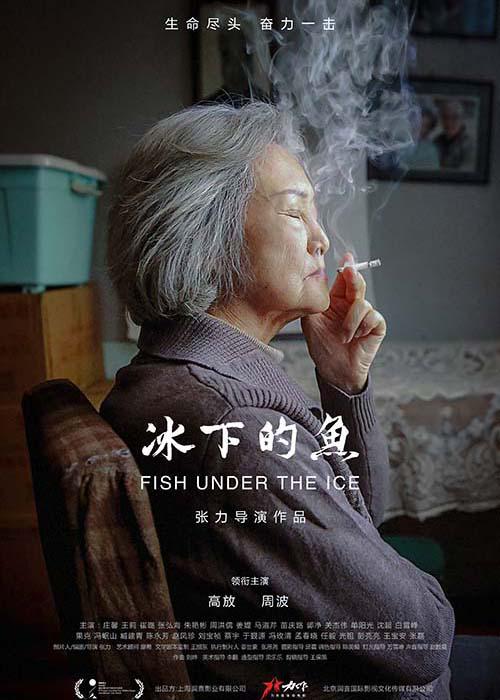 冰下的鱼 [国语配音/中文字幕][4K-2160P]