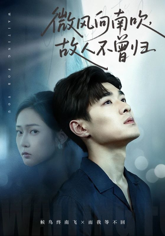 微风向南吹，故人不曾归（72集）易柏辰＆王悦洋|短剧