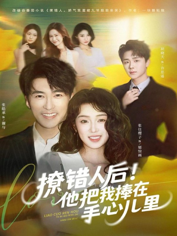 2025年11月21日 短剧合集目录10