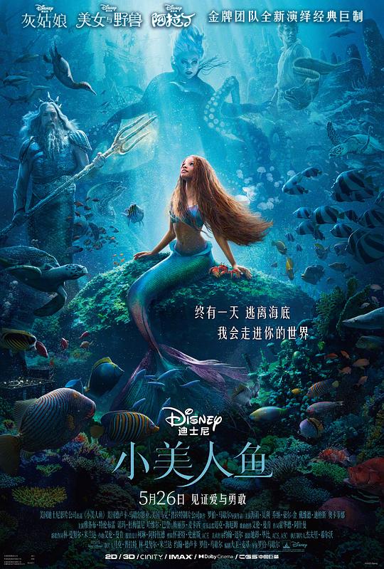 小美人鱼 The Little Mermaid (2023) 1080p 原盘Remux 中文字幕 【33.33GB】已刮削