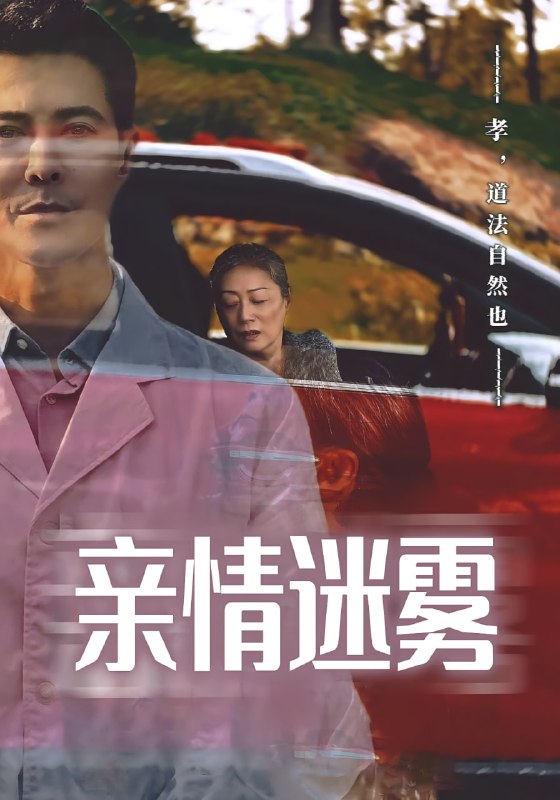 亲情迷雾(30集)