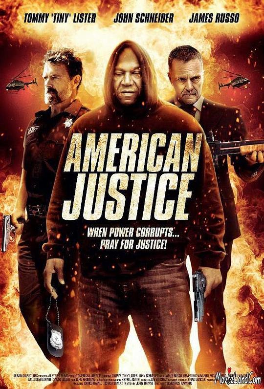 美国司法 American Justice (2015) 1080p 原盘Remux 【18.63GB】已刮削