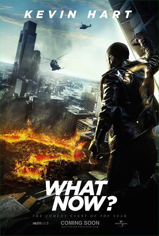 凯文·哈特整点啥呢? Kevin Hart: What Now? (2016) 1080p 原盘Remux 【24.84GB】已刮削